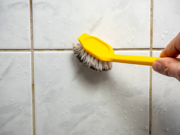 Best Mold Testing and Inspection Services in Brenham, TX
