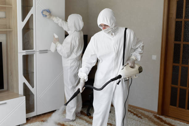 Best Post-Flood Mold Remediation in Brenham, TX