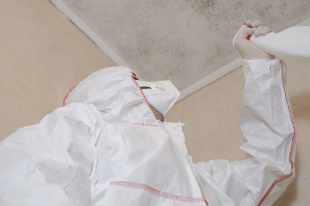 Best Emergency Mold Remediation in Brenham, TX